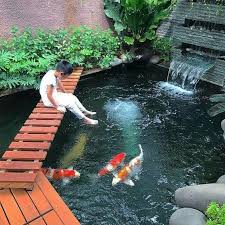 Simak 10 Desain Kolam Ikan Yang Bikin Rumah Kamu Keren