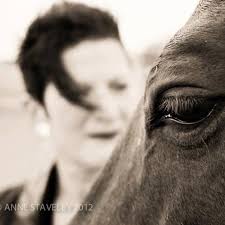 Blue Heron Ranch Moving Arts and Equestrian