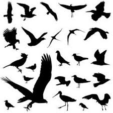 Bird Tattoo On Ribs Men Bird Tattoo Designs For Men And Women Trendir Style Bird Tattoo Men Tattoo Designs Men Tattoos For Guys