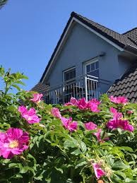 Wohnung im haus am see, erstes & zweites obergeschoss, 4 zimmer. Das Blaue Haus Am Meer Home Facebook