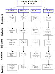 Dna Unit Flow Chart