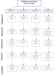 dna unit flow chart