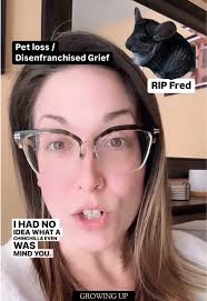 Honoring Fred: A Journey Through Pet Loss and Grief