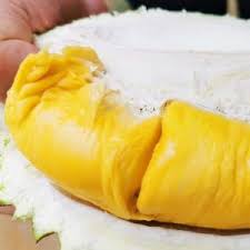 Scroll down to see lists of recommended durian farms to visit in may penang: Bentong Durians æ–‡å†¬æ¦´èŽ²å›­ Pesticides Free Durians æ— å†œè¯æ¦´èŽ²