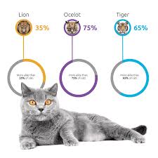 Right now, the basepaws breed + health dna test: New Dna Test Just For Cats Can Unlock Your Feline S Breed History Cole Marmalade