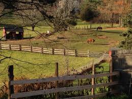 Durham Ct Horse Farm By Joy Testa Horse Farms Horses Farmland