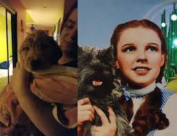 Henry Ruggs III Crash