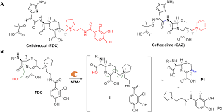 Image result for Cefiderocol