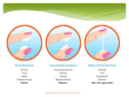 How To Accurately Check Cervical Mucus Find Out When You