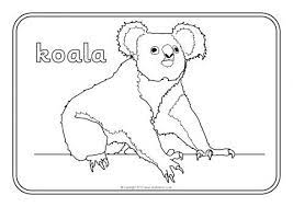 Tribal australian animal vector set. Australian Animals Colouring Sheets Sb9002 Sparklebox