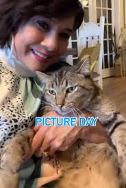 Beau's Sunday Morning Treat with Scrambled Eggs and Cheese