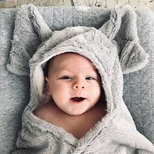 3874964?width=600&height=600&cropmode=Fill&anchor=Center