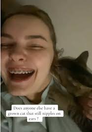 Katze Nuckelt An Ohr