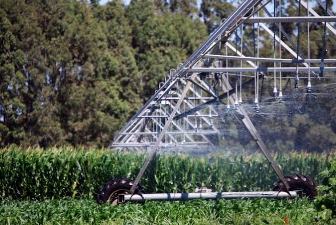 RIMI 2026: qué es el nuevo régimen de inversión para PyMEs y cómo impacta en el sector agropecuario