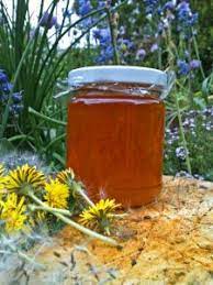Wild Food In Suburbia Dandelion Marmalade Wild Food Eating Organic Foraging Recipes