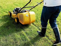 .principales fonctions diverses tâches d'entretien de terrain suivantes: Quels Sont Les Horaires Pour Tondre Sa Pelouse Blog Jardin Couvert Conseils Jardinage Et Serres