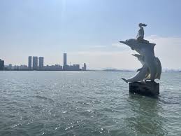 厦门实践调研｜80多只“水上大熊猫”中华白海豚逐浪嬉戏厦门湾- 中国日报网