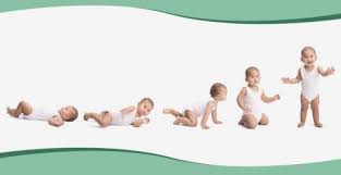 انا خايفه في الأسبوع الخامس مافي نبض ولا وحم, بنات طمنوني الله يخليكم انا في الاسبوع الخامس من الحمل ومافي نبض والى الآن ماحسيت بالوحم مع اني في. Ù…Ø±Ø§Ø­Ù„ Ù†Ù…Ùˆ Ø§Ù„Ø¬Ù†ÙŠÙ† Ù…Ù† Ø§Ù„Ø£Ø³Ø¨ÙˆØ¹ Ø§Ù„Ø­Ø§Ø¯ÙŠ ÙˆØ§Ù„Ø¹Ø´Ø±ÙˆÙ† Ø­ØªÙ‰ Ø§Ù„ÙˆÙ„Ø§Ø¯Ø© Ø¹Ø§Ù„Ù… Ø­ÙˆØ§Ø¡ Ù…Ø±ÙƒØ²ÙŠ