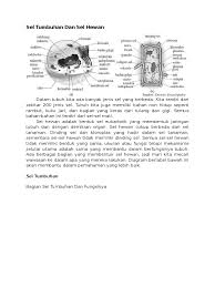 Maybe you would like to learn more about one of these? Sel Tumbuhan Dan Sel Hewan