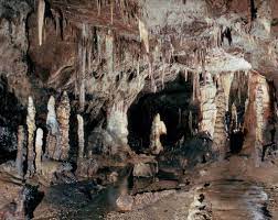 We did not find results for: Baradla Cave Wikipedia