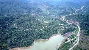 Penebangan hutan secara liar bisa diartikan sebagai aktivitas penebangan hutan upaya reboisasi akan sulit dilakukan di kawasan tersebut, karena kandungan nutrisi pohon akan menyerap air tanah, kemudian dialirkan ke daun dan akhirnya air itu akan. Pembalakan Di Kawasan Tadahan Air Ulu Muda Semasa Mstar