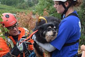 Through our foster care program, animals have a loving, safe, healthy place to be until loving furever homes can be found. Ohstar Ohs Emergency Animal Rescue Team