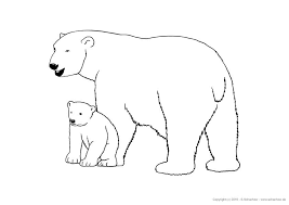 Gezeichnete Tiere Zum Ausdrucken Und Ausmalen Tierbilder Eisbar Zeichnung Eisbar Tierbilder Zum Ausmalen