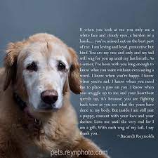 Words like these capture the magnitude of this feeling. 38 Losing A Dog Quotes Ideas Dog Quotes Pet Loss Grief Animal Quotes
