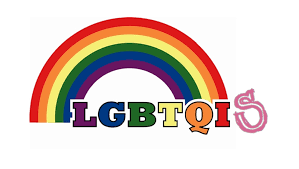 Lgbtqi And S Sonke Gender Justice