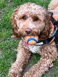 Hey, my name is Eric! I'm 24