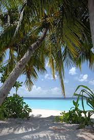 Straight Out Of Your Villa And Into The Calm Blue Ocean That S What Our New Centara Ras Fushi Resort Spa Mal Island Resort Visit Maldives Maldives Island