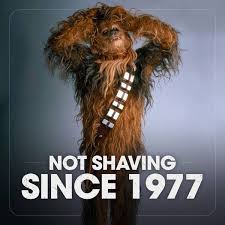 No Shave November Chewbacca Beard Memes Beard Humor Funny Beard Memes