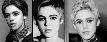  The 60s Model Actress Edie Sedgwick Kinda Looked Like Grimes Grimes
