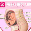 Home/life improving guide/where can i get 23 week old fetus pictures? 3