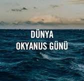 🌊 Gezegenimizin Mavi Kalbi: Okyanuslar, Dünyanın %71’ini kaplayan  okyanuslar, milyonlarca canlıya ev sahipliği yapıyor, atmosferdeki  oksijenin yarısını üretiyor ve iklimin dengelenmesinde rol ...