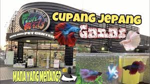 Pt pos indonesia menyatakan skema gaji yang mereka terapkan pada karyawan berbeda dari perusahaan pada umumnya karena di sana ada yang. Gaji Di Jepang Wni Capai 50 Juta Perbulan Youtube