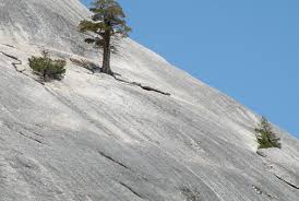 Résultat de recherche d'images pour "pente"