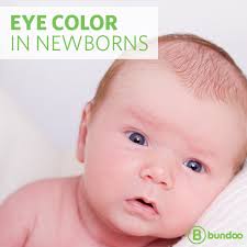 Eye Color In Newborns Baby Eye Color Predictor Baby Eye Color Change Baby Eye Color Chart