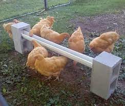28 Cheap And Clever Diys For Anyone Who Raises Chickens Chicken Garden Chicken Feeder Diy Chickens Backyard