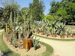 Ce lieux situé à lyon est dans la catégorie nature / balade. Jardin Botanique De Lyon 2021 3 Top Things To Do In Lyon Auvergne Rhone Alpes Reviews Best Time To Visit Photo Gallery Hellotravel France