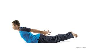 Salabhasana Or Locust Pose Effectively Preps Beginners For Deeper Backbends Strengthening The Back Of The Torso Legs And Arms Yoga Poses Yoga Movement Poses