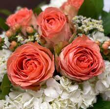 Flowers, flower arrangements, custom flower designs,. Got Flowers Jax Home Facebook