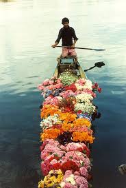 A Gondola Of Flora Beautiful Flowers Floral Love Flowers