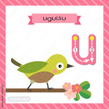 Doing crafts with your kids can help develop their coordination, improve visual processing abilities, hone fine motor skills in the smallest kids, and allow children of all ages to express themselv. Letter U Lowercase Cute Children Colorful Zoo And Animals Abc Alphabet Tracing Flashcard Of Uguisu Bird Perching On Branch For Kids Learning English Vocabulary And Handwriting Vector Illustration Stock Vector Adobe