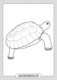 Dibujos de tortugas para colorear y pintar. Pin En Dibujos De Tortugas