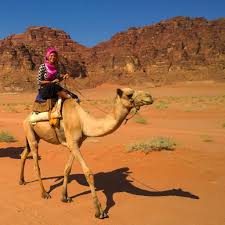 Elephants and camels have been spotted swimming across the ocean. Ethical Animal Tourism Matters Why Many Animal Encounters Are Inhumane And How To Find Ethical Alternatives Diapers In Paradise