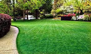If you're fertilizing your lawn yourself, let's do some quick math to see how much product you will need to properly calibrating your spreader to make sure you are applying the right amount of fertilizer each application is also important easy to make an error on. Simple Tips To Make Your Lawn Greener