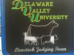 Totally Custom Judging Team Jackets Going To Pa These Turned Out Really Cool Stockshow Showcattle Ffa Team Jackets Screen Printing Designs Show Cattle