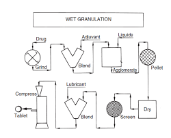 Granulation Process Flow Chart Science Info World