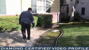 Find the best local pest control in san francisco, ca. San Mateo Pest Control Located In Redwood City Donovan S Pest Control